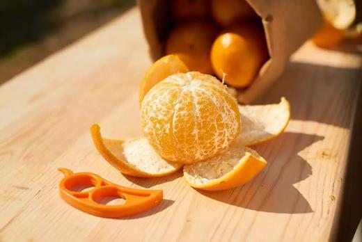 【广东省青商会专属】之我在德庆有棵贡柑树 商品图6