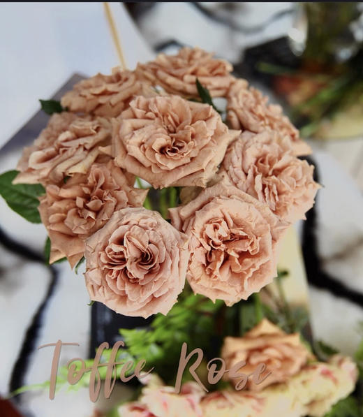 【玫瑰的故事】玫瑰主题包年周花，浪漫小惊喜，每次收一束不同品种的玫瑰花，共计52束，加送2个花瓶 商品图5