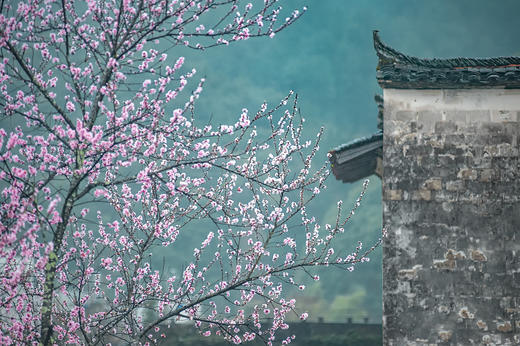 3月15日确定出发【江西】婺源春季油菜花•五里桃花村•新安江画廊五天摄影 商品图5