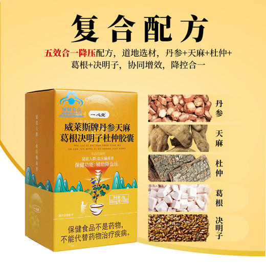 一心堂丹参天麻葛根决明子杜仲胶囊 商品图1