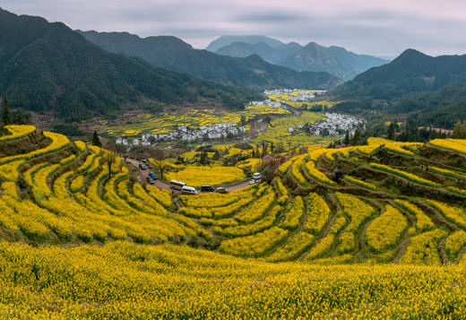 3月15日确定出发【江西】婺源春季油菜花•五里桃花村•新安江画廊五天摄影 商品图10