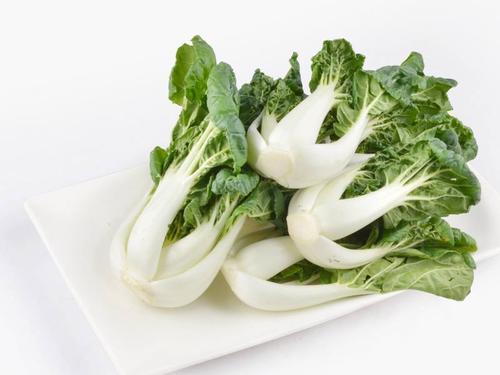 奶白菜1斤  约4朵【1斤起售】 商品图0