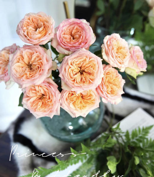 【玫瑰的故事】玫瑰主题包年周花，浪漫小惊喜，每次收一束不同品种的玫瑰花，共计52束，加送2个花瓶 商品图3