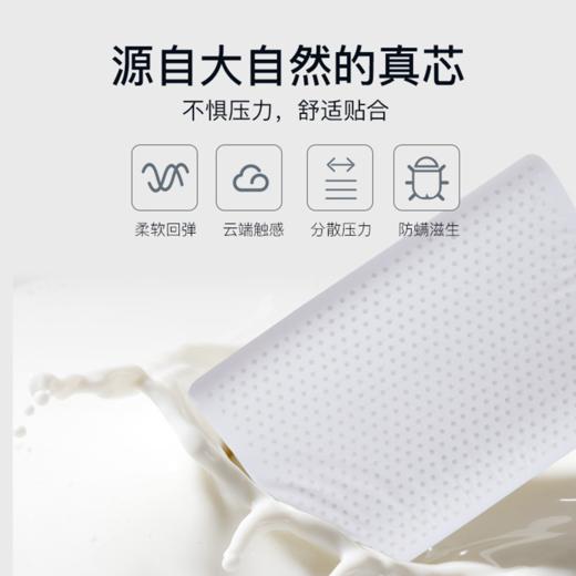 金可儿弓形乳胶枕枕头 商品图2