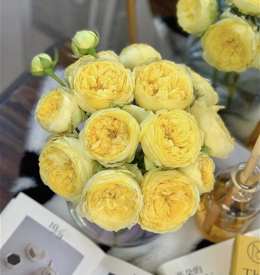 【玫瑰的故事】玫瑰主题包年周花，浪漫小惊喜，每次收一束不同品种的玫瑰花，共计52束，加送2个花瓶 商品图13
