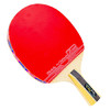 蝴蝶6系列成品乒乓拍TBC-603 商品缩略图1
