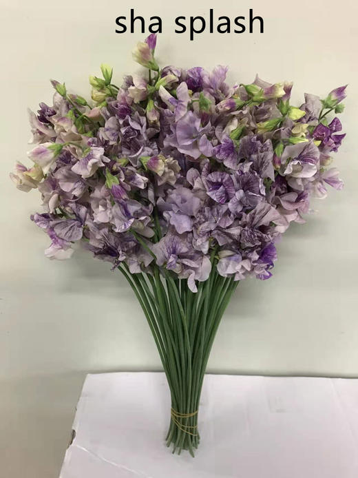 日本进口花材 splash系列香豌豆花 商品图4