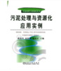 污泥处理与资源化应用实例/曹伟华 孙晓杰 赵由才 商品缩略图0