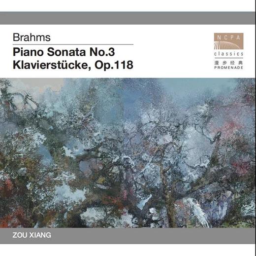 勃拉姆斯钢琴作品选--邹翔 1CD 商品图0