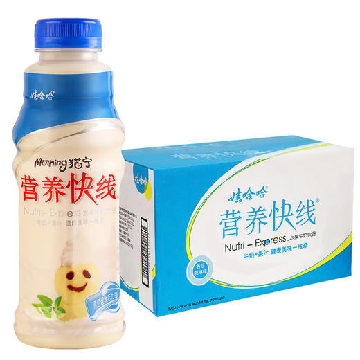 娃哈哈 营养快线 果汁牛奶 冰淇淋口味 500g*15瓶饮料 夏季 夏天 早餐 饮品 商品图0