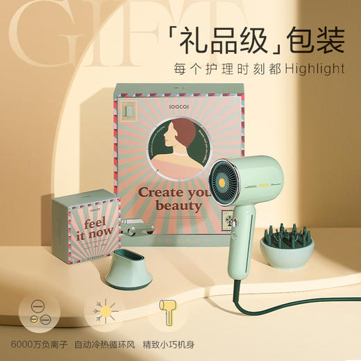 【团购展示】素士复古电吹风 RH1-标准礼盒版 商品图1