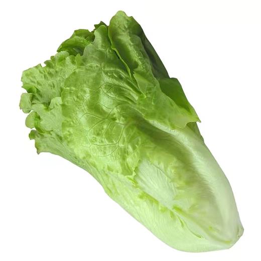 赞字村生菜 商品图0