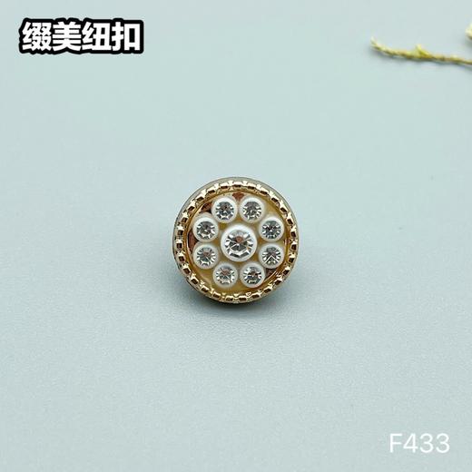 F433(整包购买) 商品图0