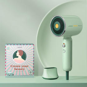 【团购展示】素士复古电吹风 RH1-标准礼盒版