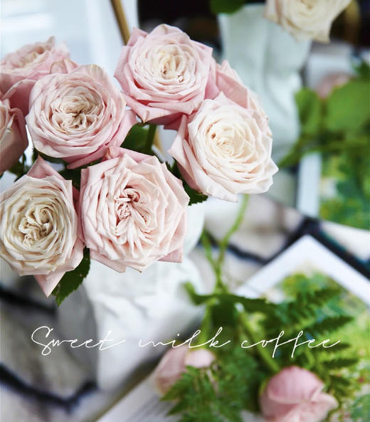 【玫瑰的故事】玫瑰主题包年周花，浪漫小惊喜，每次收一束不同品种的玫瑰花，共计52束，加送2个花瓶 商品图6