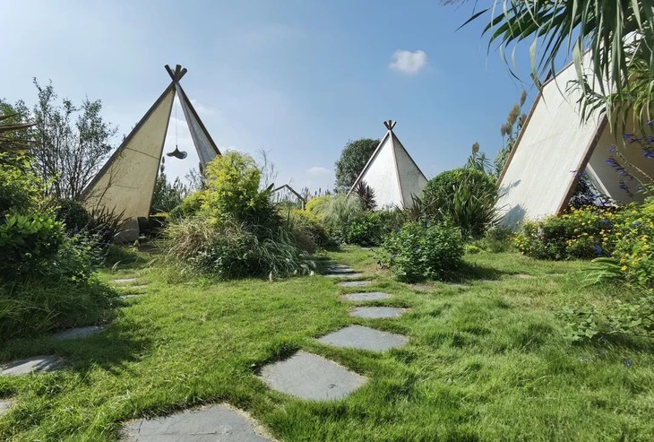 【邛崃-蔚崃61稻下】4房,5房,6房小院,稻田民宿,设计感超强.