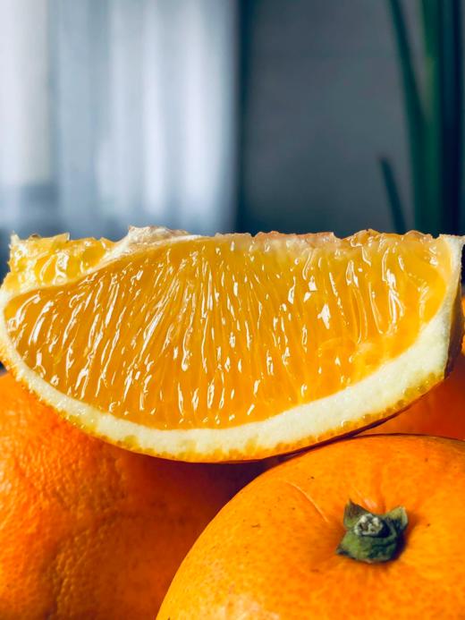 五届金奖老树脐橙，25年沉淀的稀缺果实 商品图1