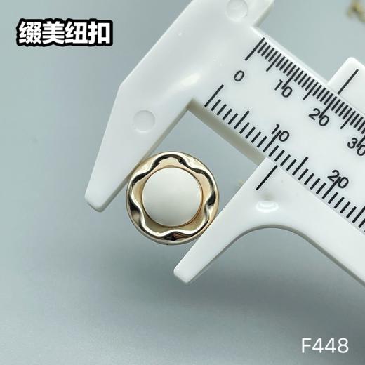 F448(整包购买) 商品图6