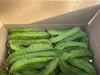 四角豆海南龙豆三亚特产新鲜四棱豆杨桃龙豆新鲜蔬菜帝皇豆包邮 商品缩略图4