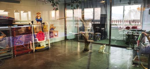 北京慢姑娘奇浣乐园别墅轰趴馆 商品图5