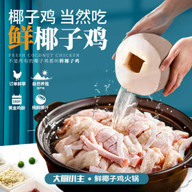 自然养殖 订单鲜宰 纯鲜椰汁 | 大厨小主 正宗海南文昌鲜椰子鸡火锅2.5KG[福利品]