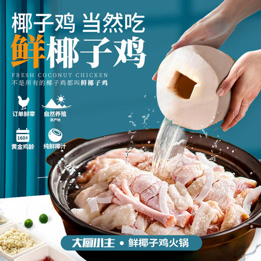 自然养殖 订单鲜宰 纯鲜椰汁 | 大厨小主 正宗海南文昌鲜椰子鸡火锅2.5KG[福利品] 商品图0