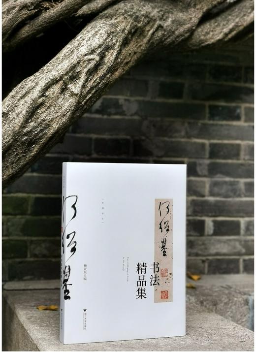 《何绍基书法精品集》，小8开，186页，杨亚东编著 商品图0