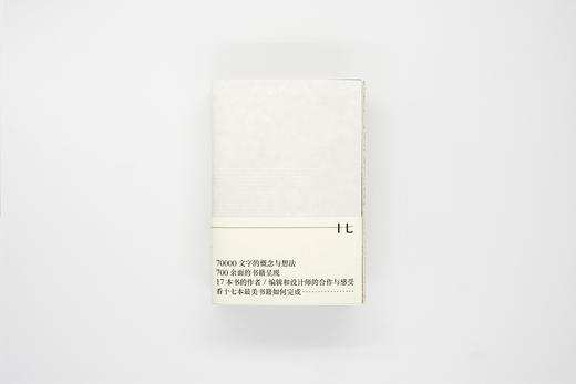 【2021年中国“最美的书”】瀚书十七 赵清书籍装帧 设计作品集 图集 商品图3