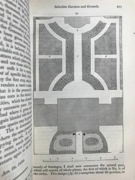 1840年 园丁杂志 近百幅版画插图 真皮精装大32开 商品图5