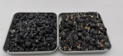 柴达木野生黑枸杞 商品图2