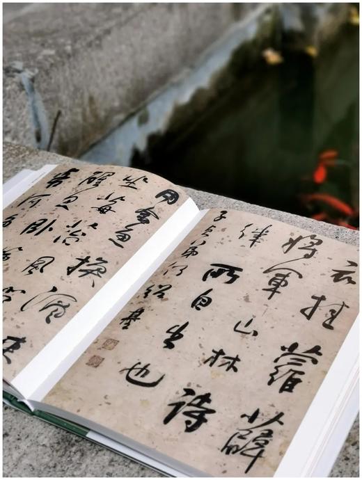 《何绍基书法精品集》，小8开，186页，杨亚东编著 商品图5