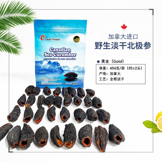 Ocean Feast 北极淡干海参【黄金级35头左右/454g袋装】 商品图0