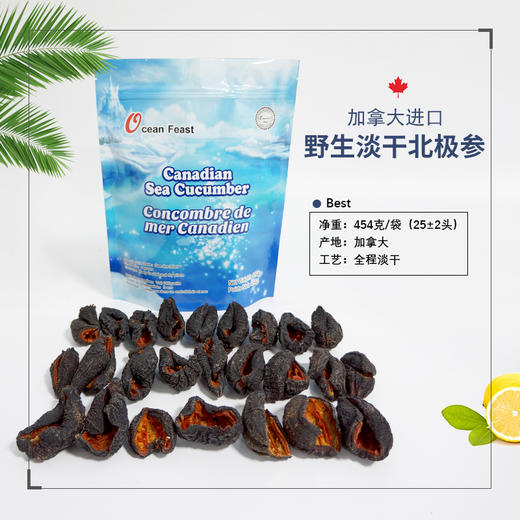 开口海参袋装（大开口，不带花，20-30头/磅左右） 商品图0