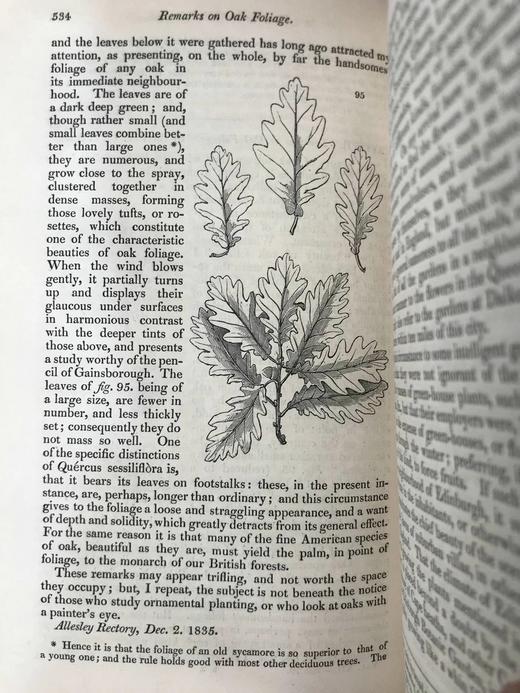 1840年 园丁杂志 近百幅版画插图 真皮精装大32开 商品图13