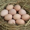 【东滩绿港】林下散养鸡蛋30枚/箱 商品缩略图1