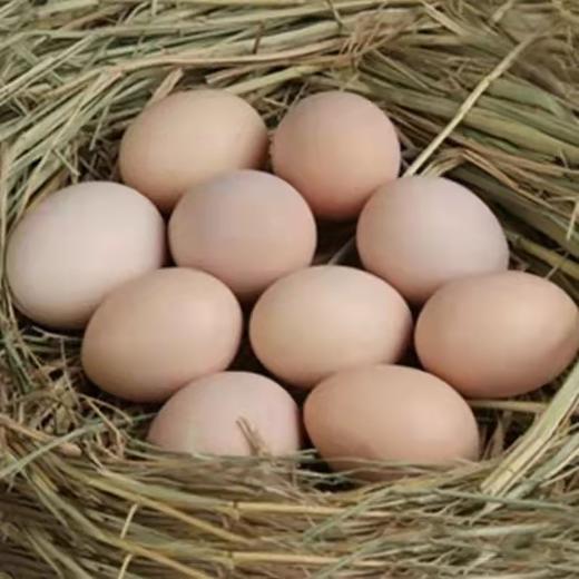 【东滩绿港】林下散养鸡蛋30枚/箱 商品图1