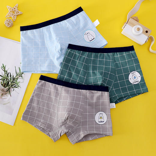 【3条装 A类纯棉呵护宝宝健康成长】儿童内裤男童平角裤全棉四角裤纯棉12中大童15岁青少年恐龙夏薄款 商品图10