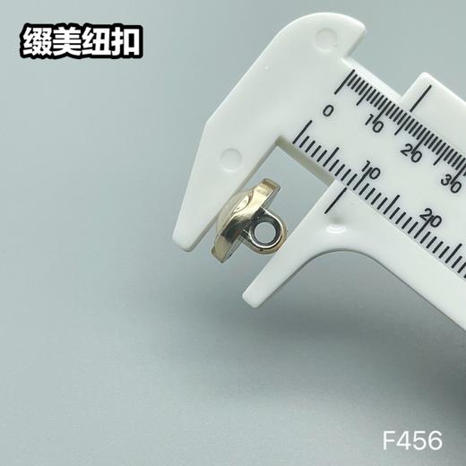 F456(整包购买) 商品图4