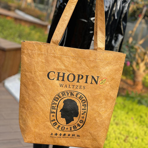 原创杜邦纸托特包 肖邦款 乐海书情 商品图2