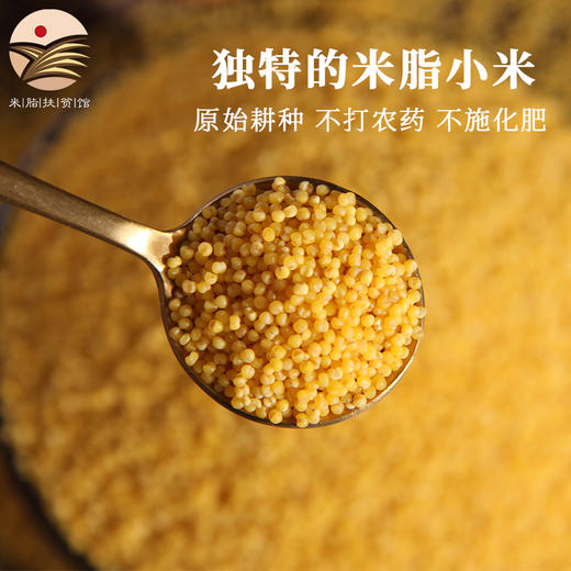 【米香中国】正宗农家新米脂油小米家庭装 黄土高原种植 商品图5