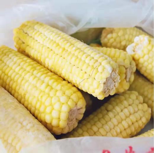 【东滩绿港】冷冻玉米2.5kg 商品图2