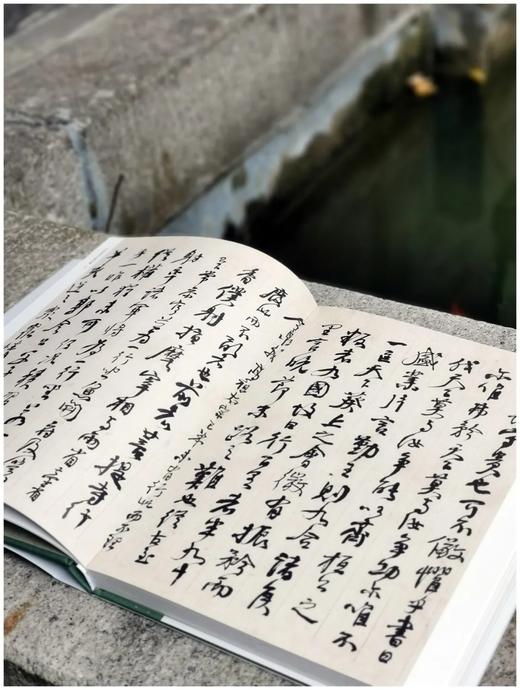 《何绍基书法精品集》，小8开，186页，杨亚东编著 商品图2