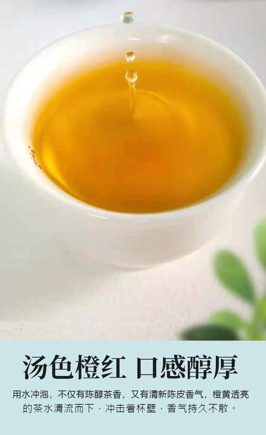 福鼎白茶贡眉枣香陈年高品质国风礼盒装 商品图3