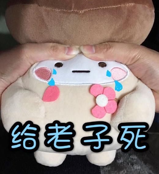 测试1212-俊博 商品图2