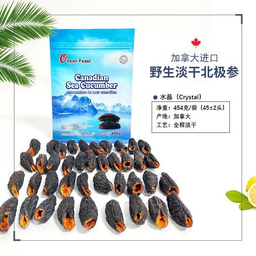 Ocean Feast 北极淡干海参【水晶级45头左右/454g袋装】 商品图0