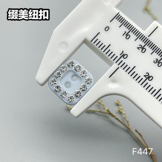 F447(整包购买) 商品图4