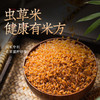 菌种培植 吃出健康的虫草养生米  300g/罐 商品缩略图1