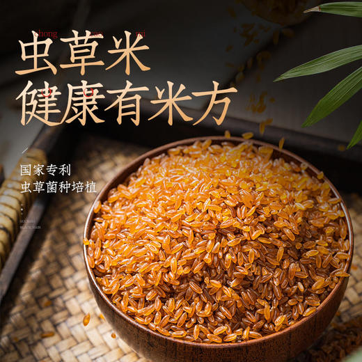 菌种培植 吃出健康的虫草养生米  300g/罐 商品图1