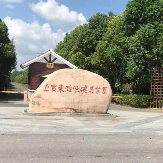 【东滩绿港】崇明东滩大米普通包装5kg~根据订单顺序陆续发货 商品图1