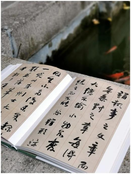 《何绍基书法精品集》，小8开，186页，杨亚东编著 商品图6